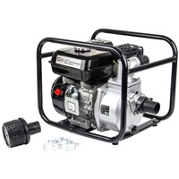 Surface Mounted Water Pumps