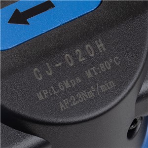 SIP Compressor Particulate & Oil Filtration System